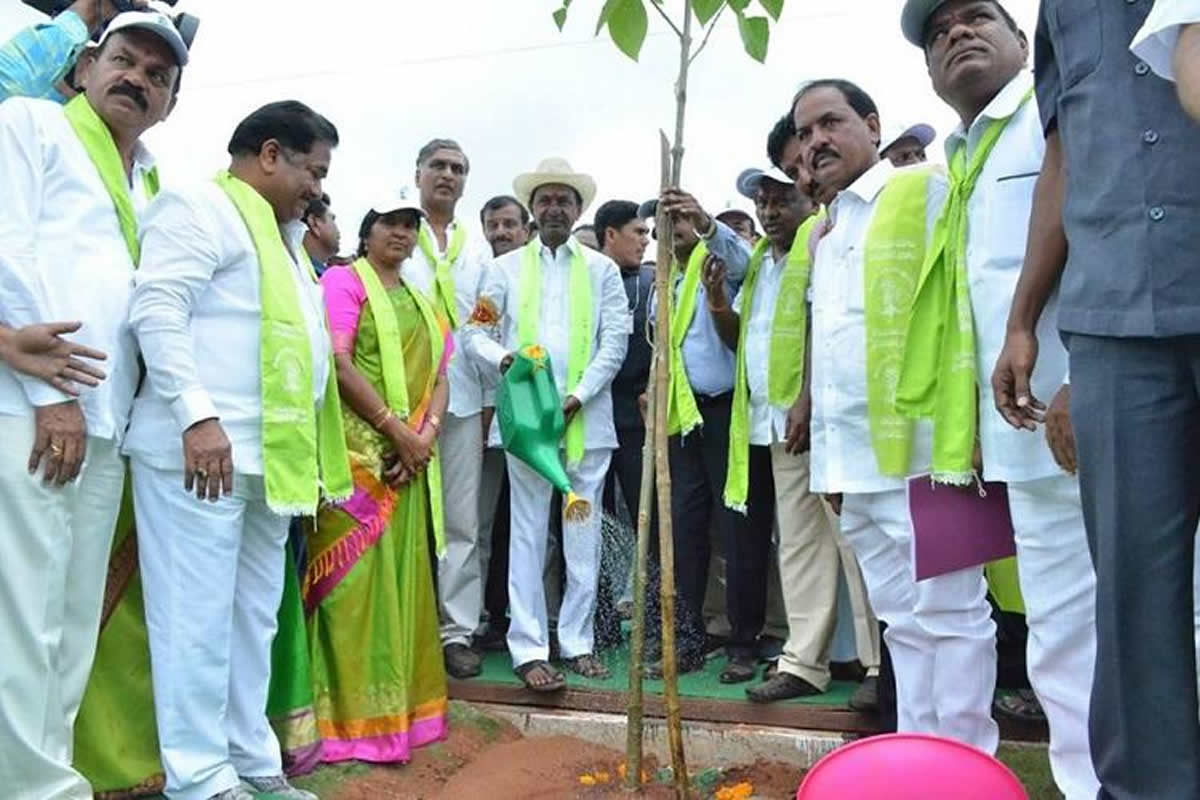 CM KCR planted saplings in Urban Forest Park