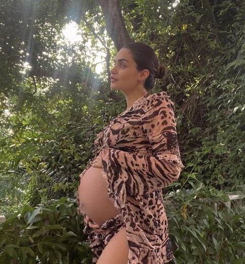 the-star-heroine-who-is-going-to-become-a-mother-for-the-second-time-photos-viral