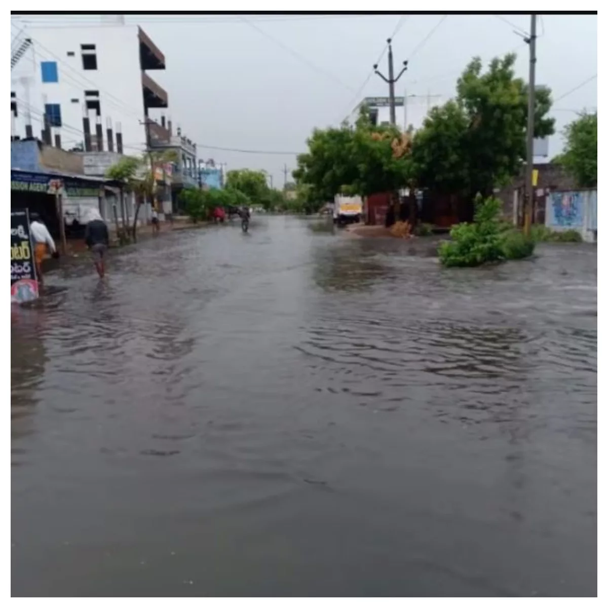 Combined Karimnagar district which has become a swamp 