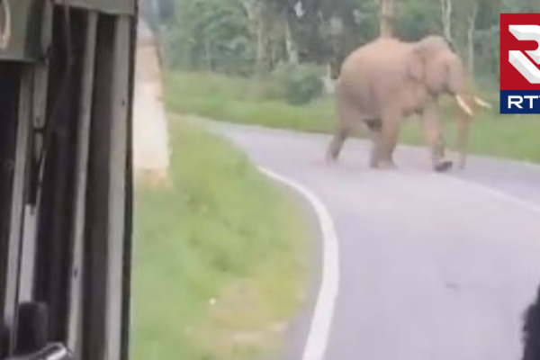 karnataka-state-bus-attacked-elephant-video-viral
