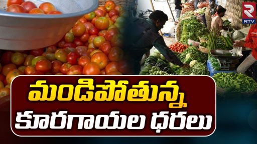 national-news-social-media-influencers-on-tomato-price-tomato-price-effect-reels-on-tamoto-price