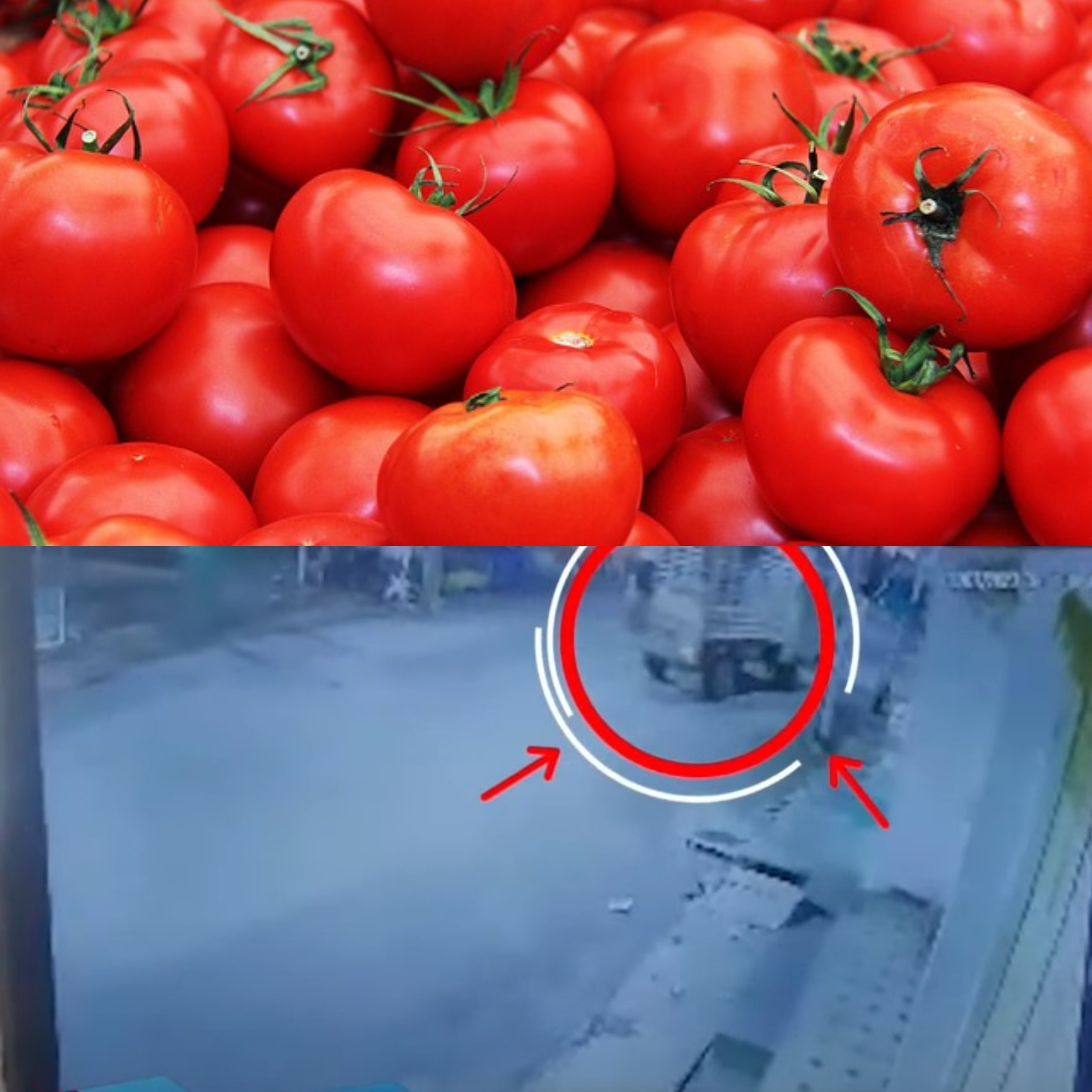 Tomatoes stolen: కాదేదీ చోరీకనర్హం.. టమాటాలపై పడ్డ దొంగల కళ్లు.. ఏకంగా 2.5లక్షల విలువ చేసే ఎర్రపండు చోరీ!