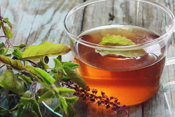 If you drink These teas during monsoons immunity will increase