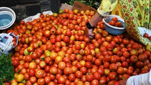 tomatoes on subsidy in vijayawada rythu bazar