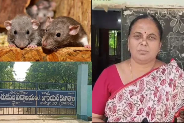 Rattle of mice in Vaira Gurukula Girls Hostel