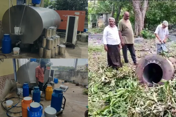 adulterated milk in Telangana.. you will be shocked to know how it is being done!